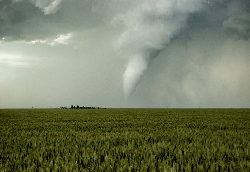 Les conditions météorologiques estivales extrêmes seront de retour l'année...