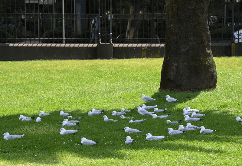 2010 ont été la décennie la plus chaude jamais...